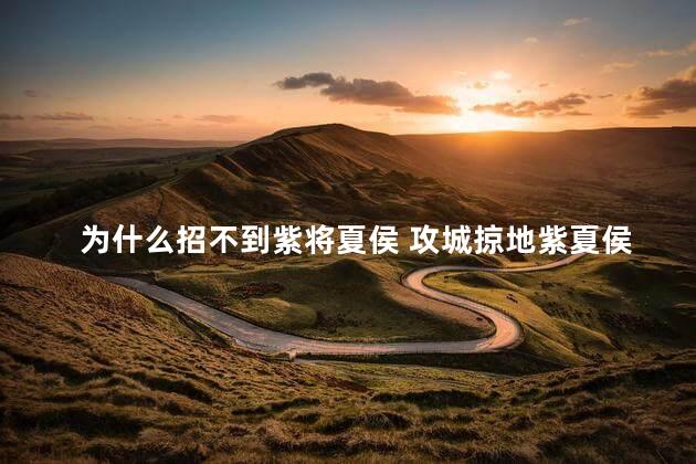 为什么招不到紫将夏侯 攻城掠地紫夏侯渊